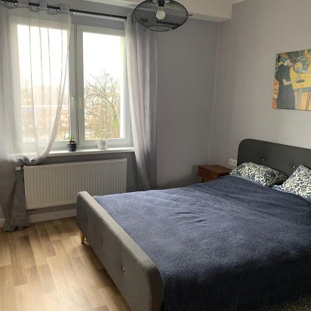 Apartament „Ogrodowa” 博莱斯瓦维茨 外观 照片